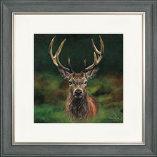 Load image into Gallery viewer, Scott