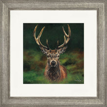 Load image into Gallery viewer, Scott