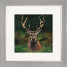 Load image into Gallery viewer, Scott