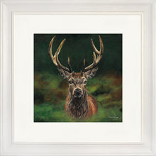 Load image into Gallery viewer, Scott