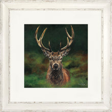 Load image into Gallery viewer, Scott