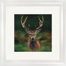 Load image into Gallery viewer, Scott