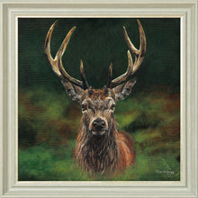 Load image into Gallery viewer, Scott
