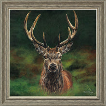 Load image into Gallery viewer, Scott