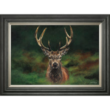 Load image into Gallery viewer, Scott