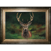 Load image into Gallery viewer, Scott