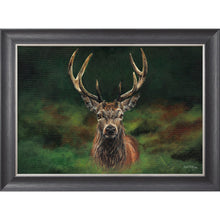 Load image into Gallery viewer, Scott