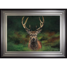 Load image into Gallery viewer, Scott