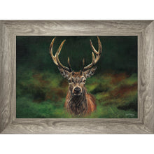 Load image into Gallery viewer, Scott