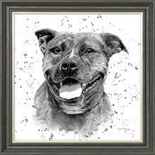 Load image into Gallery viewer, Scout B&W