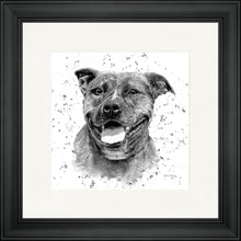 Load image into Gallery viewer, Scout B&W