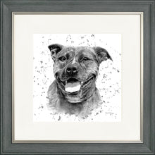 Load image into Gallery viewer, Scout B&W