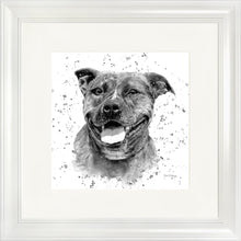Load image into Gallery viewer, Scout B&W