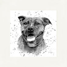 Load image into Gallery viewer, Scout B&W