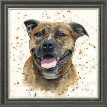 Load image into Gallery viewer, Scout