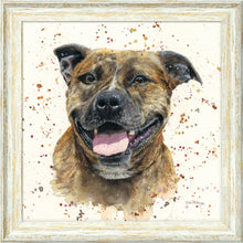 Load image into Gallery viewer, Scout