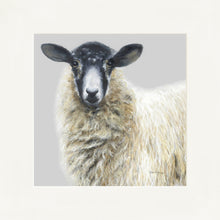 Load image into Gallery viewer, Shelley