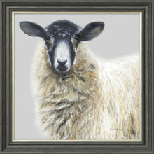 Load image into Gallery viewer, Shelley