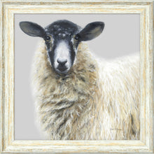 Load image into Gallery viewer, Shelley