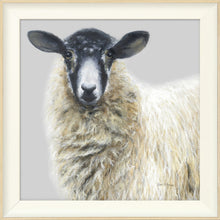 Load image into Gallery viewer, Shelley