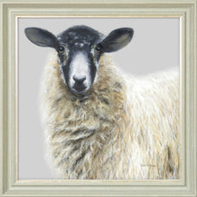 Load image into Gallery viewer, Shelley