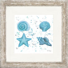 Load image into Gallery viewer, Shells Blue