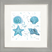 Load image into Gallery viewer, Shells Blue