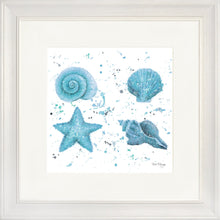 Load image into Gallery viewer, Shells Blue