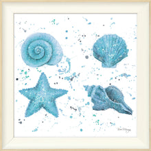 Load image into Gallery viewer, Shells Blue