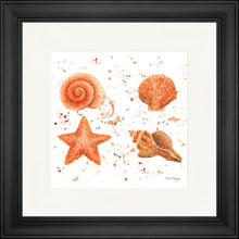 Load image into Gallery viewer, Shells