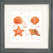 Load image into Gallery viewer, Shells