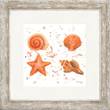 Load image into Gallery viewer, Shells