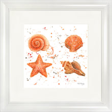 Load image into Gallery viewer, Shells