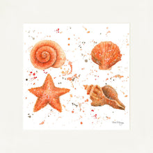 Load image into Gallery viewer, Shells