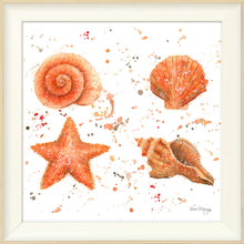 Load image into Gallery viewer, Shells