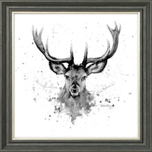 Load image into Gallery viewer, Sheridan B&W