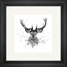 Load image into Gallery viewer, Sheridan B&W