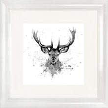 Load image into Gallery viewer, Sheridan B&W