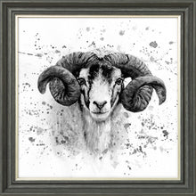 Load image into Gallery viewer, Sherman B&W