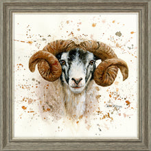 Load image into Gallery viewer, Sherman
