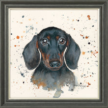 Load image into Gallery viewer, Sid