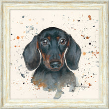 Load image into Gallery viewer, Sid