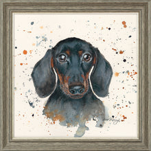 Load image into Gallery viewer, Sid