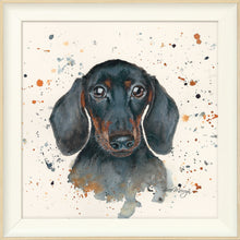 Load image into Gallery viewer, Sid