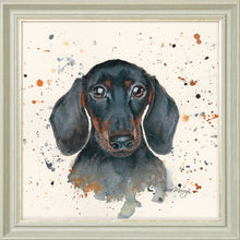 Load image into Gallery viewer, Sid