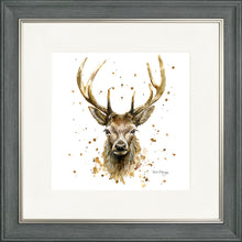 Load image into Gallery viewer, Silas