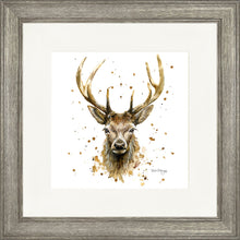 Load image into Gallery viewer, Silas