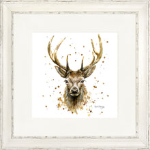 Load image into Gallery viewer, Silas