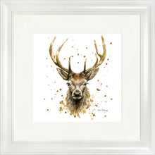 Load image into Gallery viewer, Silas