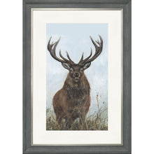 Load image into Gallery viewer, Sinclair